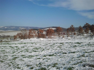 Zima U Kutjevu1.jpg