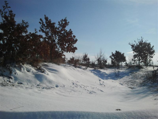 Zima U Kutjevu10.jpg