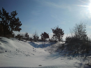 Zima U Kutjevu11.jpg
