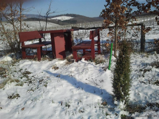 Zima U Kutjevu6.jpg