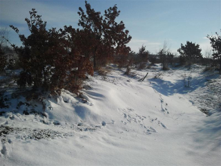 Zima U Kutjevu9.jpg